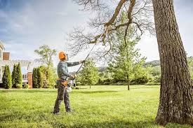 Best Tree Disease Treatment  in Pomona, KS