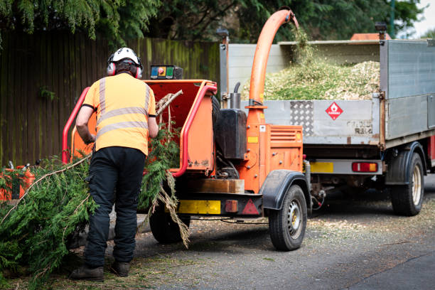 Best Lawn Watering Services  in Pomona, KS