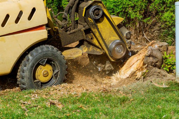 Best Firewood Processing and Delivery  in Pomona, KS