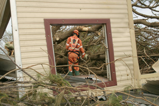 Best Tree Risk Assessment  in Pomona, KS